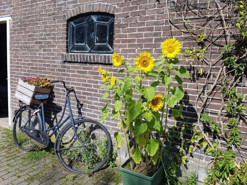 Het Voorhuis Boerderij Hoeve Vrede Best Weesp Exterior photo